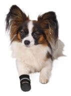 TRIXIE Pfotenschutz Walker